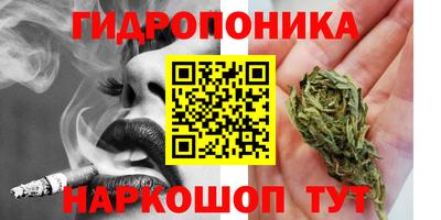 прущие грибы Туймазы
