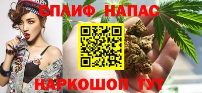 прущие грибы Туймазы
