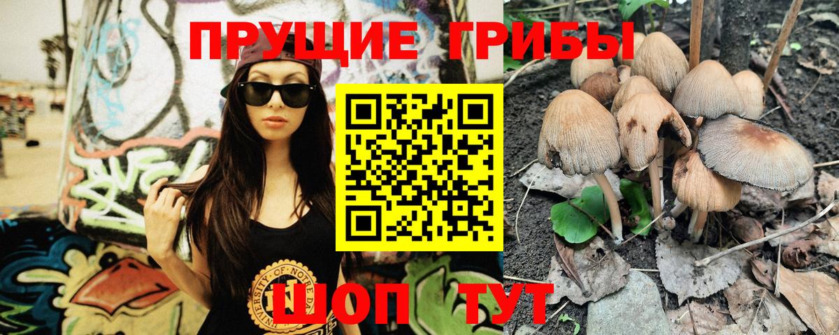 Псилоцибиновые грибы прущие грибы Мытищи