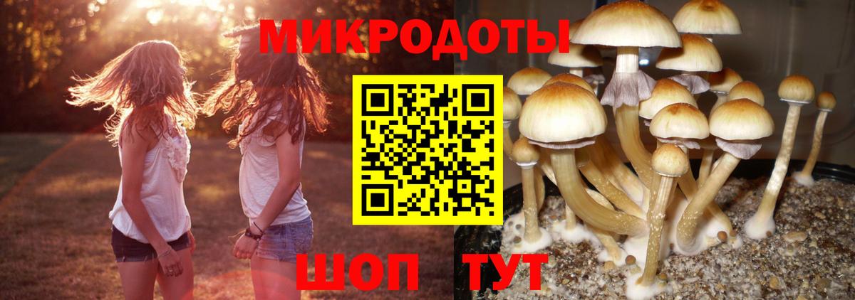 закладка  Псилоцибиновые грибы мухоморы  Вход с VPN  Мытищи  Псилоцибиновые грибы Magic Shrooms 