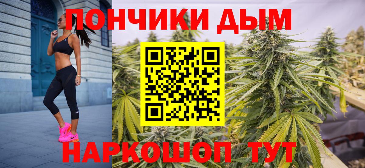 Бошки Шишки ГИДРОПОН Мытищи